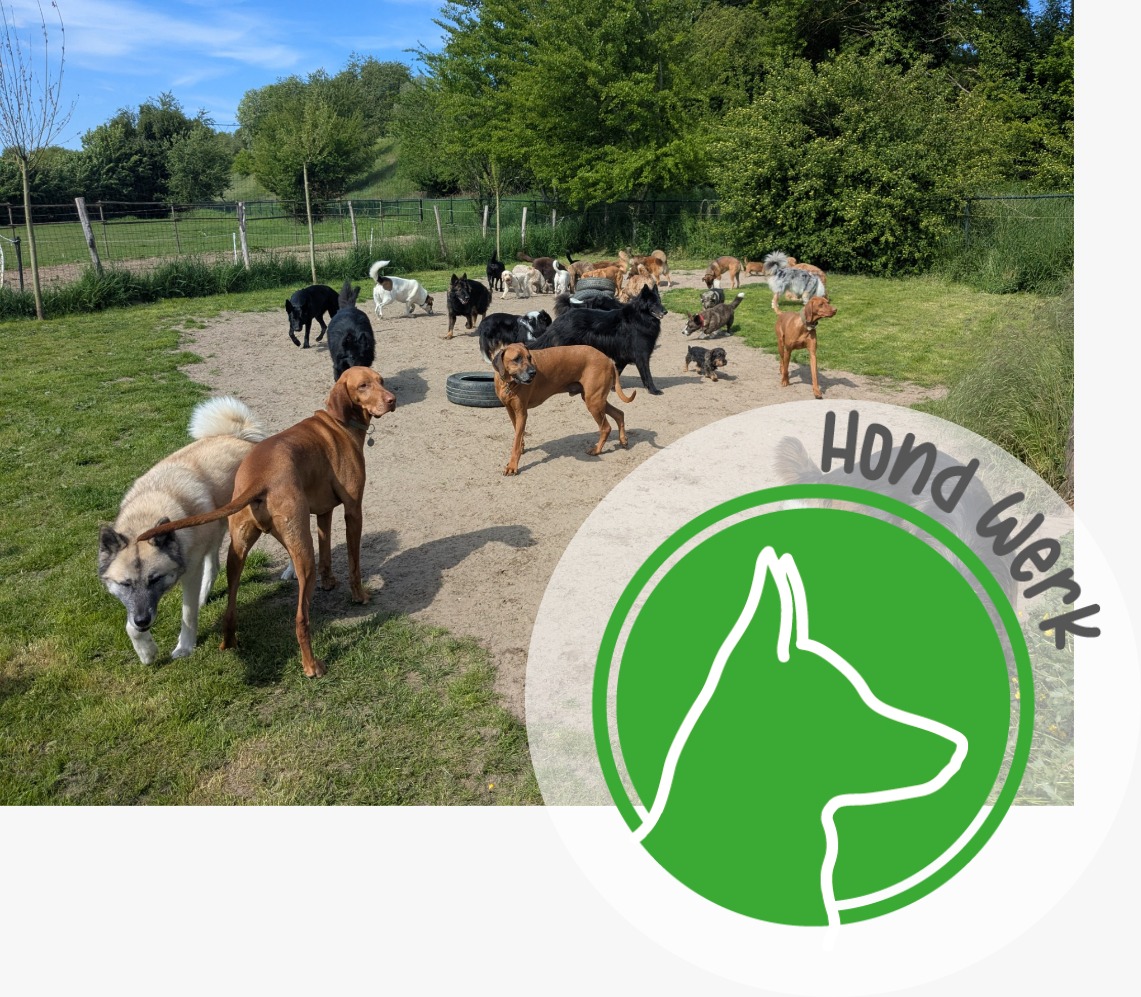 Hondwerk - Praktijkdagen