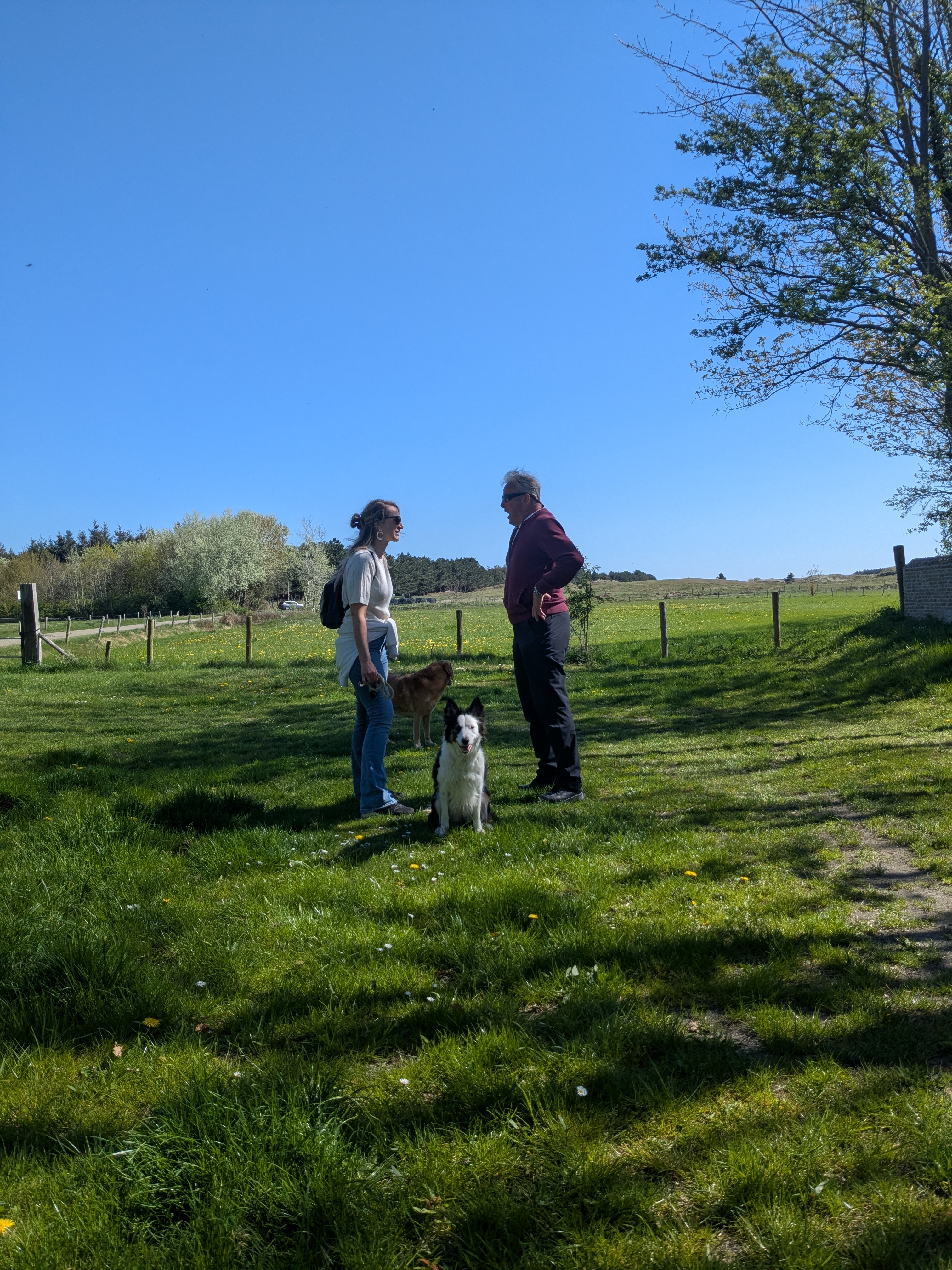 Stap 1 - Start van de opleiding